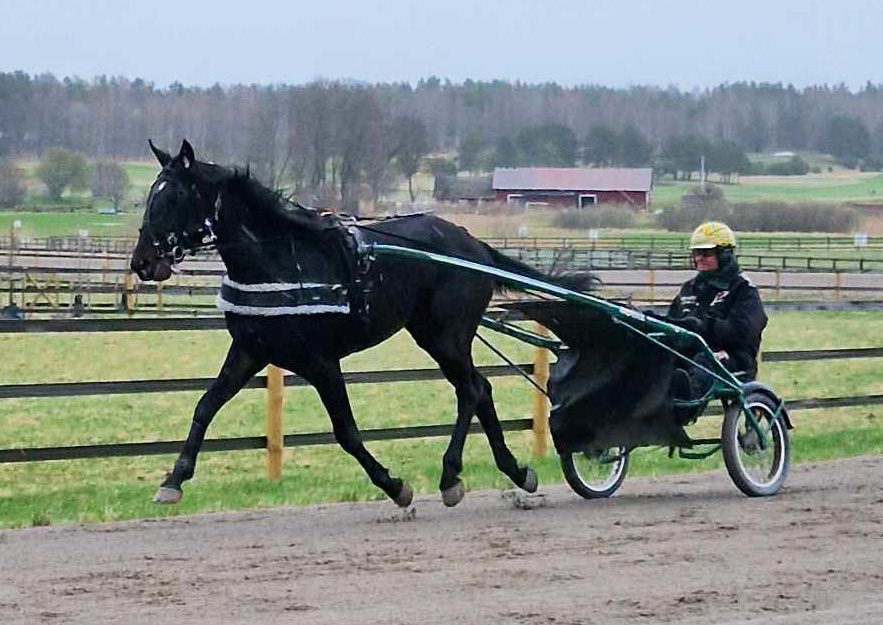 Hola Que Tal i ett träningspass på Yttersta. Foto: A.Lindblom